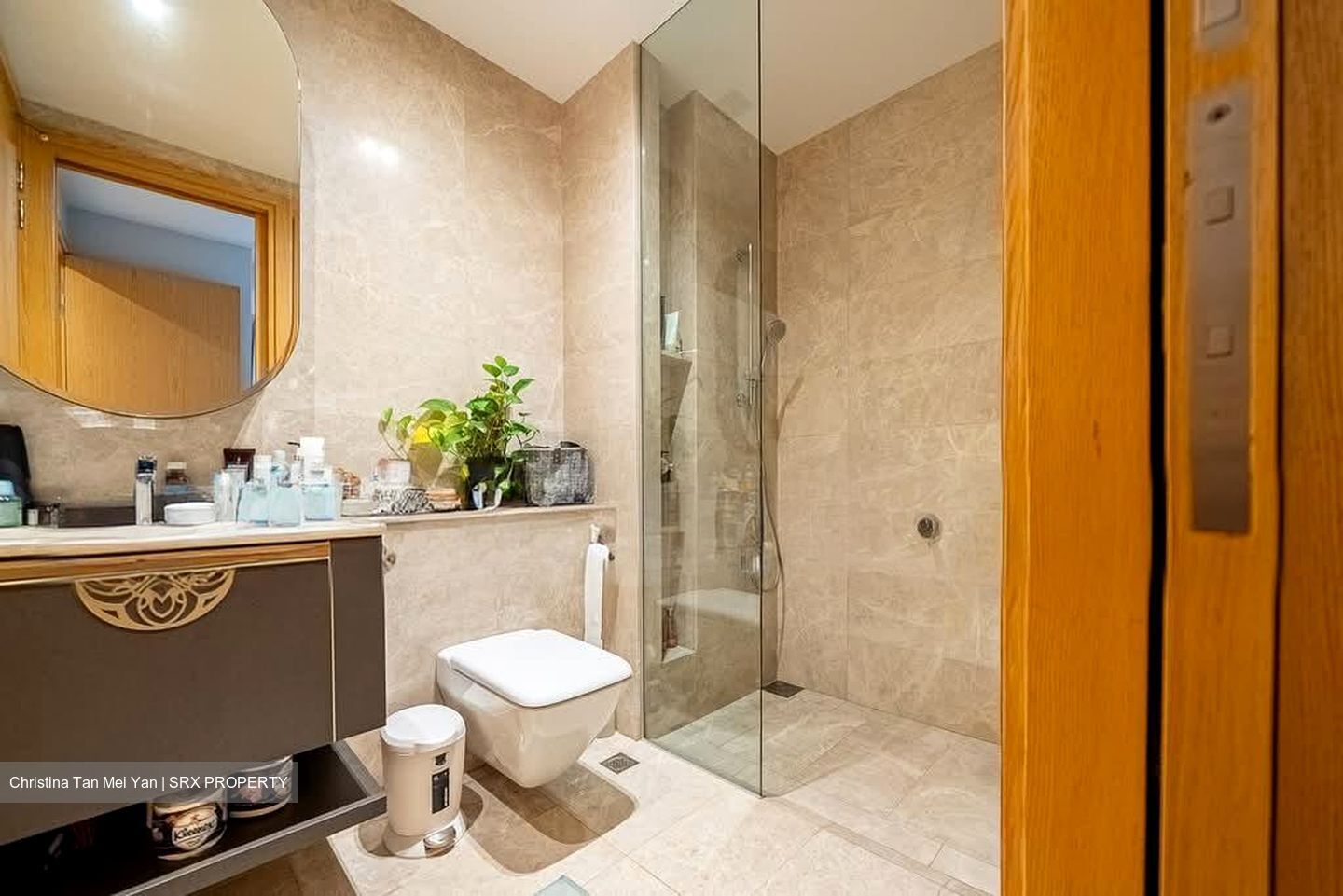 Nyon (D15), Apartment #577814731